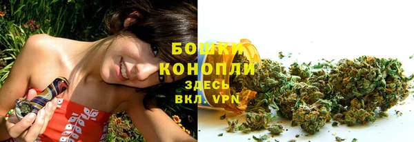 стаф Бугульма
