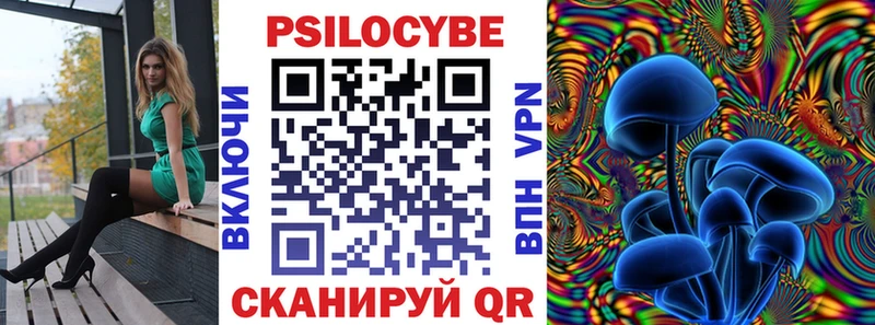 Псилоцибиновые грибы GOLDEN TEACHER  Грайворон 